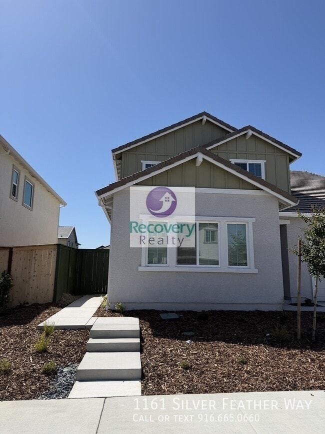 property at 1161 Silver Feather Wy