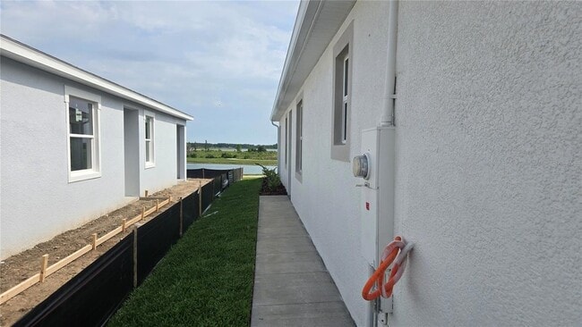 31471 Paper Birch St in Wesley Chapel, FL - Building Photo - Building Photo