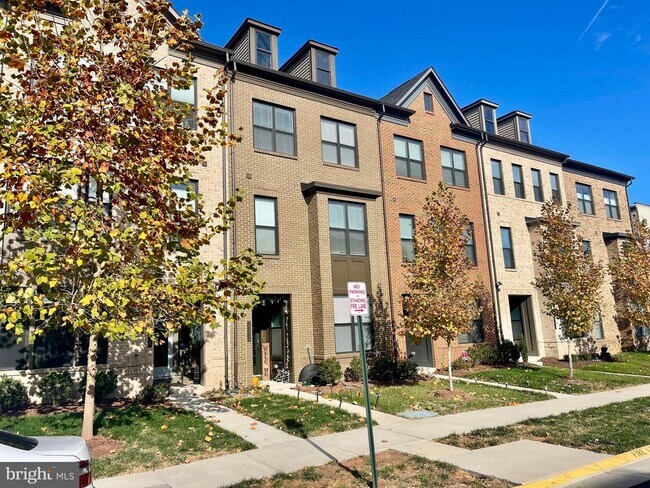 23006 Sullivans Cove Sq in Brambleton, VA - Building Photo - Building Photo