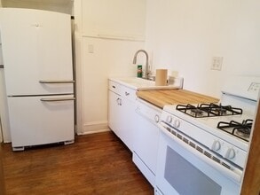 506 N Cuyler Ave, Unit 1R in Oak Park, IL - Building Photo - Building Photo