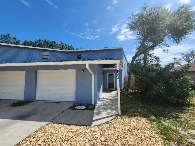 3843 Sandstone Ct in New Smyrna Beach, FL - Building Photo - Building Photo