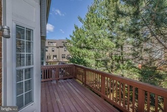 6028 Madison Overlook Ct in Falls Church, VA - Building Photo - Building Photo