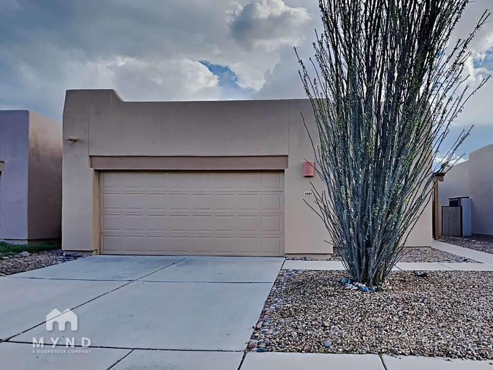 1293 W Crystalline Way in Oro Valley, AZ - Building Photo