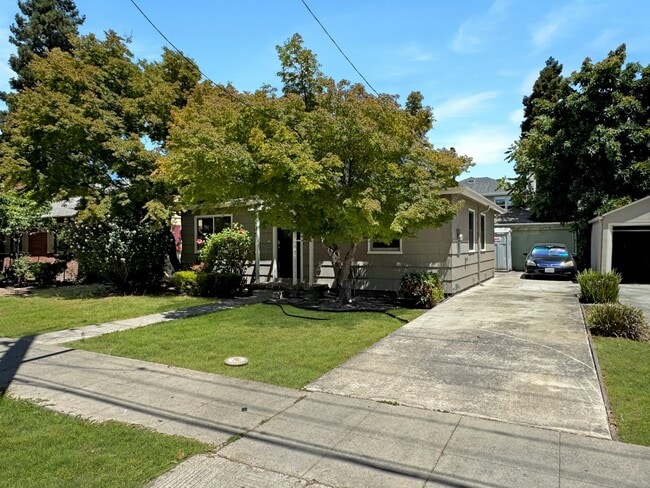 445 Alviso St in Santa Clara, CA - Foto de edificio - Building Photo