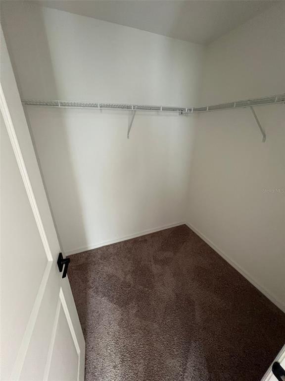 746 Stoney Pointe Cir in Davenport, FL - Building Photo - Building Photo