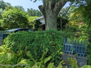 53 Pine St in West Hurley, NY - Building Photo - Building Photo