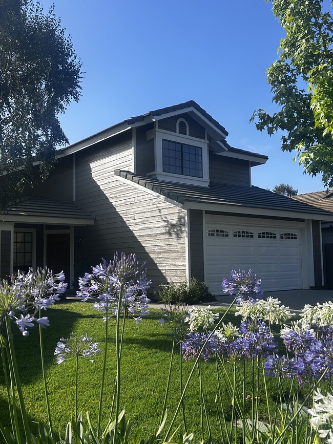 property at 148 Camino Ruiz