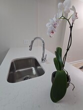 271 Hudson Ave, Unit Garden Floor in Albany, NY - Foto de edificio - Building Photo