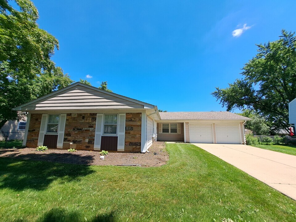 101 Emerson Dr in Schaumburg, IL - Building Photo