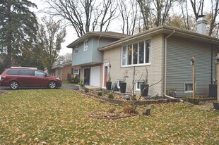 16431 Mayleon Dr in Plainfield, IL - Building Photo