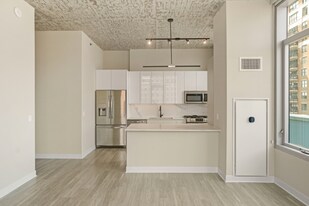 226 W Chicago Ave in Chicago, IL - Building Photo