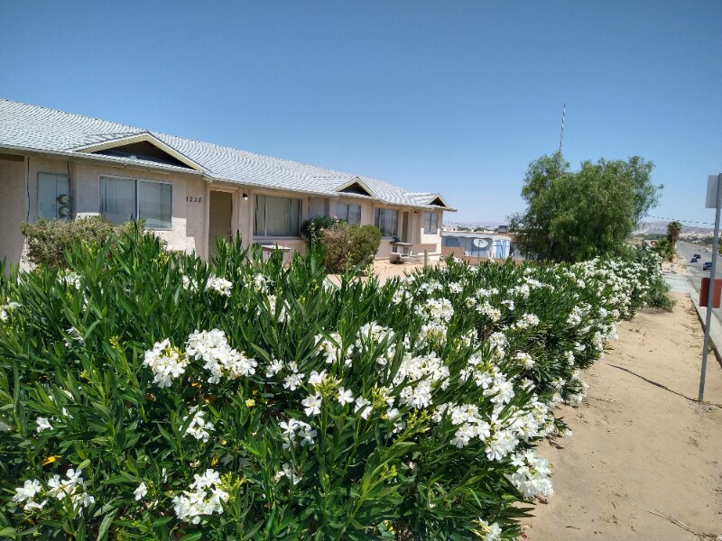 5228 Adobe Rd in Twentynine Palms, CA - Building Photo