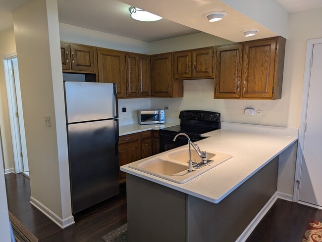 5529 E Lake Dr, Unit F in Lisle, IL - Building Photo - Building Photo