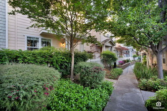 208 Hamlin Loop in Walnut Creek, CA - Building Photo - Building Photo