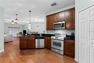 4201 Ashton Meadows Way in Wesley Chapel, FL - Building Photo - Building Photo