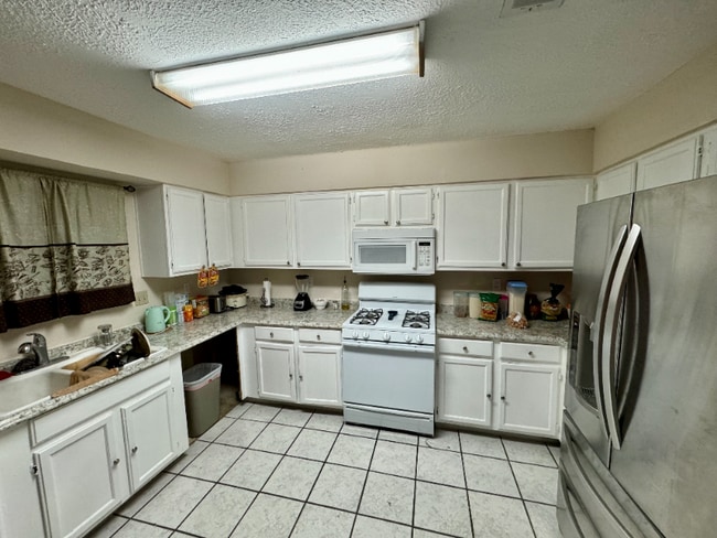 24111 Lone Elm Dr in Spring, TX - Building Photo - Building Photo