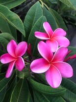 840 W 168th St, Unit #B in Gardena, CA - Building Photo