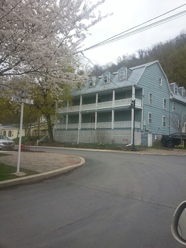 117 Wilkes St, Unit 5 in Berkeley Springs, WV - Building Photo - Building Photo