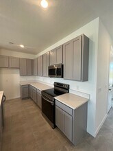 917 Conch Rd in Davenport, FL - Building Photo - Building Photo