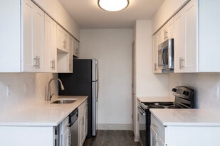 Sun Bay Palms at South Tampa in Tampa, FL - Building Photo