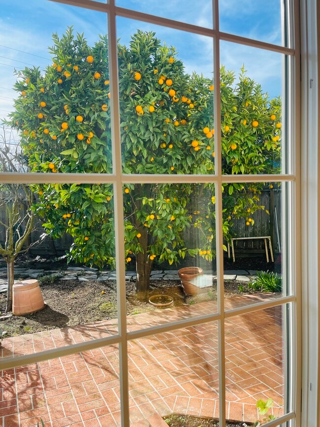 200 Iris Way in Palo Alto, CA - Foto de edificio - Building Photo