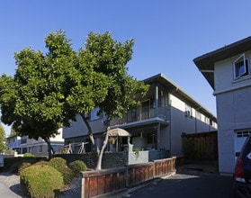 3765 Miramar Way in Santa Clara, CA - Foto de edificio - Building Photo