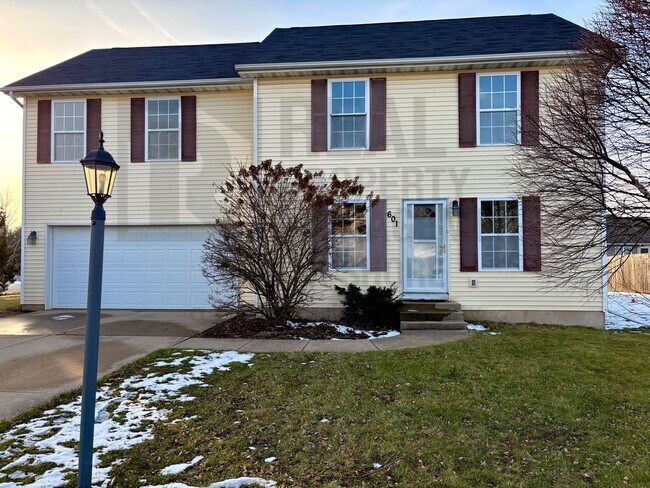 601 Mary Dr in Westville, IN - Building Photo - Building Photo