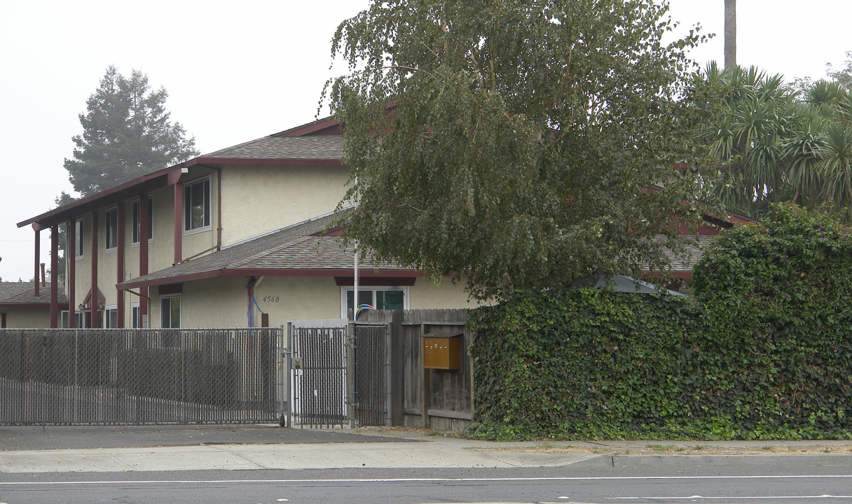 Thornton Apartments in Fremont, CA - Foto de edificio