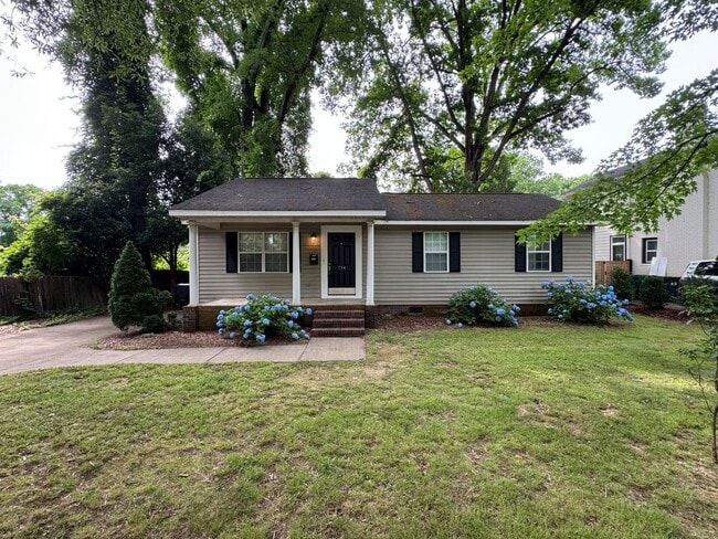 property at 734 Clement Ave