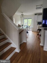 16 Charles Ct in Newark, DE - Building Photo - Building Photo