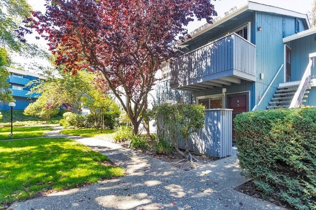 property at 415 Piccadilly Pl