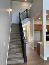 12237 Fox Tail Pine Ct in Parker, CO - Building Photo - Building Photo