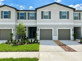 3523 Bellmeade Ct in Wesley Chapel, FL - Building Photo