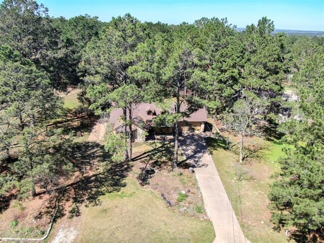 251 Pine View Loop in Bastrop, TX - Building Photo - Building Photo