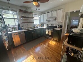 145 Albion St in Somerville, MA - Foto de edificio - Building Photo