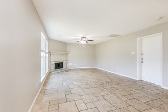 29226 Spring Mist Dr in Spring, TX - Building Photo - Building Photo