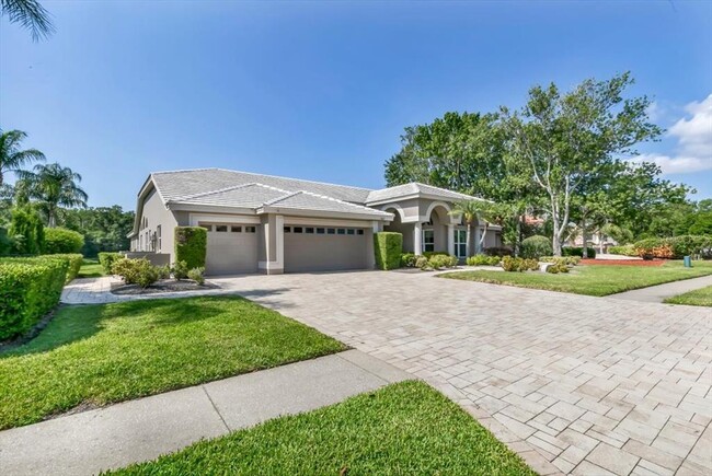 1307 Forestedge Blvd in Oldsmar, FL - Building Photo - Building Photo