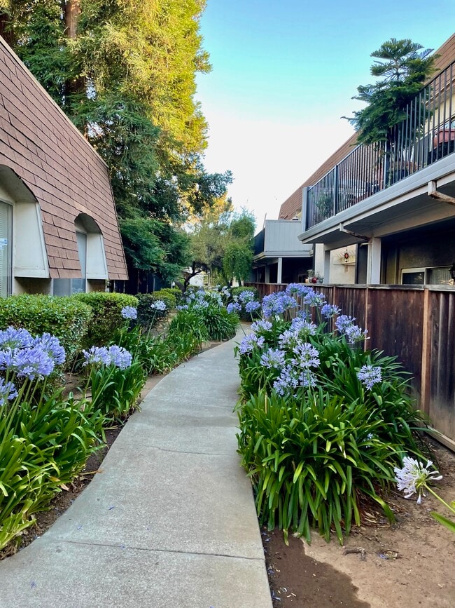 property at 3641 Clayton Rd