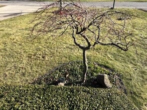 38215 Circle Dr in Harrison Township, MI - Building Photo - Building Photo