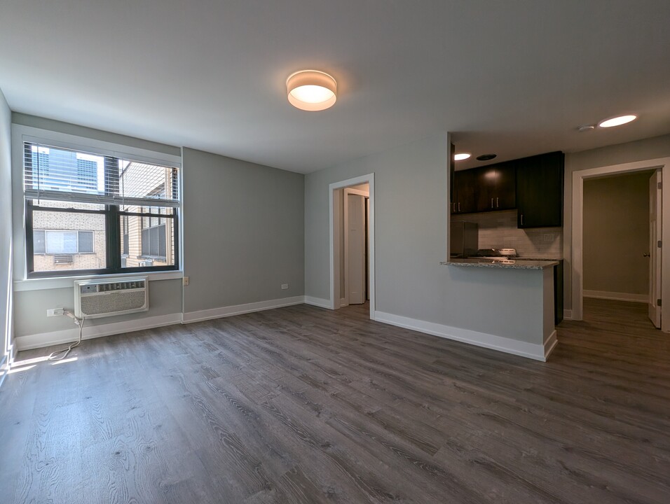 456 W Barry Ave, Unit 221 in Chicago, IL - Building Photo