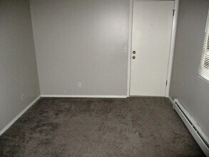 711 S Towanda Ave in Normal, IL - Building Photo - Building Photo