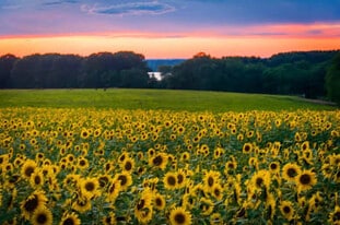 32 Talcott Ave in Griswold, CT - Building Photo