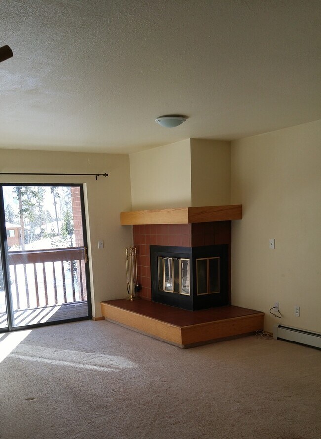 749 Lagoon Dr in Frisco, CO - Building Photo - Building Photo