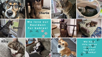 Autumn Chase Apartment Community in Myrtle Beach, SC - Building Photo