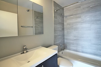 26 E Delaware Pl in Chicago, IL - Building Photo - Building Photo