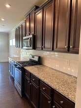 14 Larson Dr in Simpsonville, SC - Building Photo - Building Photo