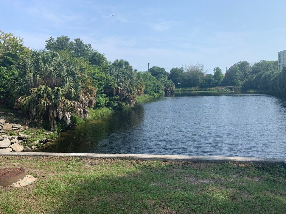 701 S Madison Ave, Unit 316 in Clearwater, FL - Building Photo