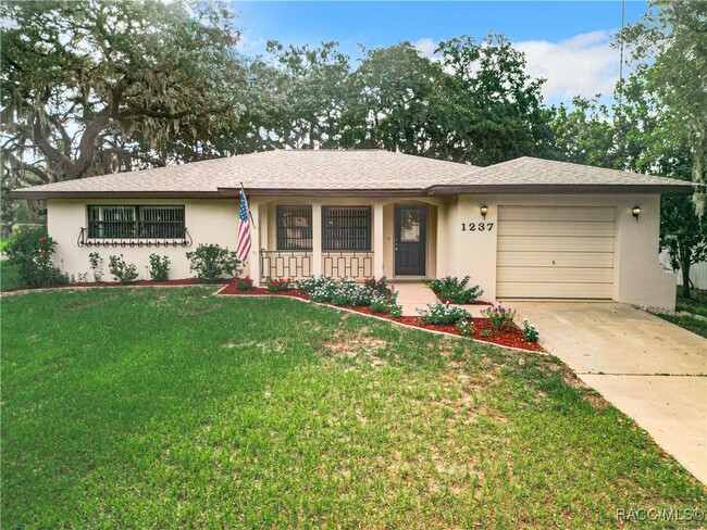property at 1237 N Lion Cub Point