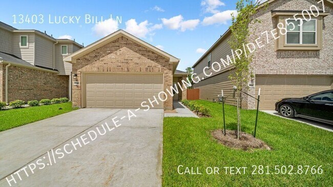 13403 Lucky Bill Ln in Houston, TX - Building Photo - Building Photo