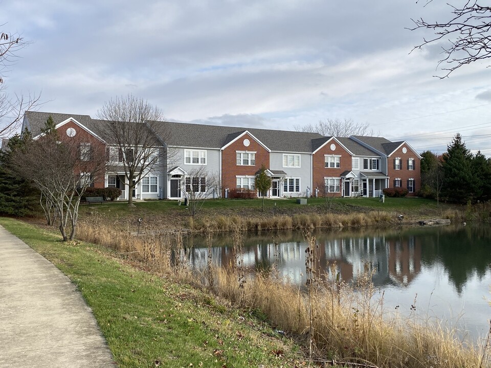 213 Springbrook Trail S in Oswego, IL - Building Photo